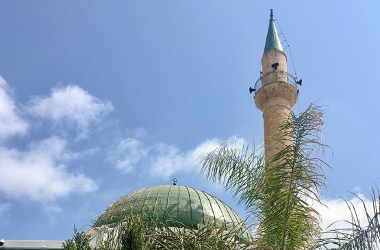 Aus der Untersicht fotografiert ist eine Moschee mit rundem Dach und Gebetsturm. Einige Palmenwedel Ragen in das Bild. 
